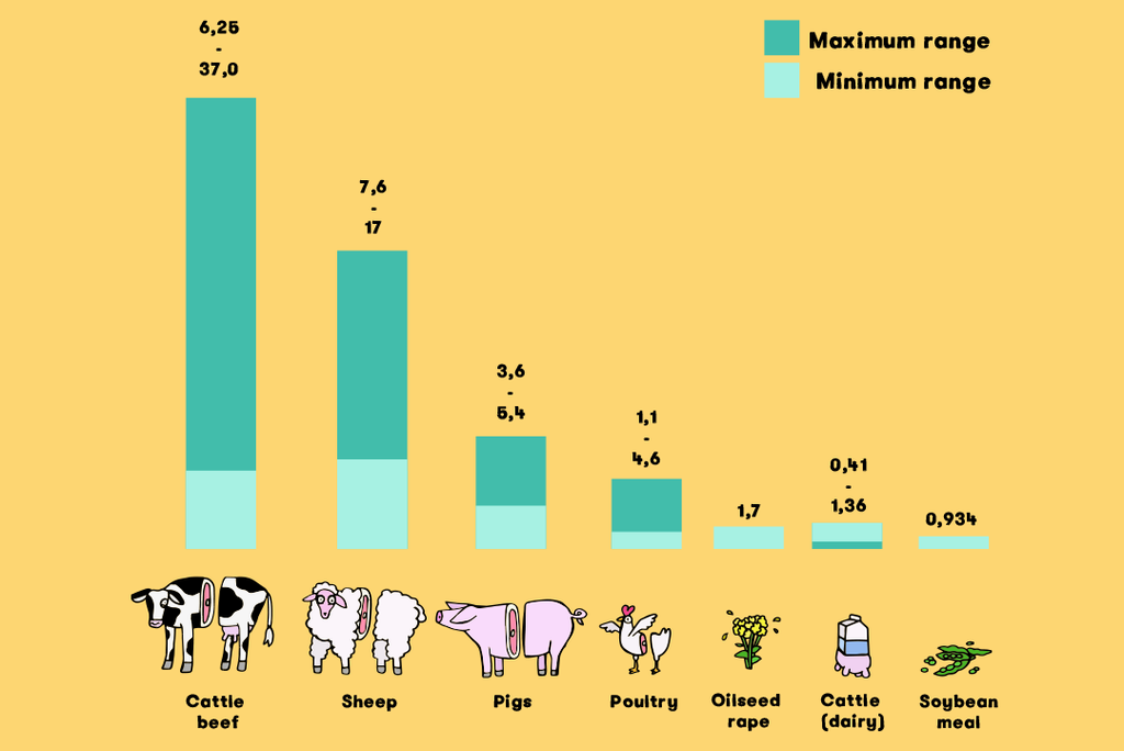 Impact of Dairy on the environment